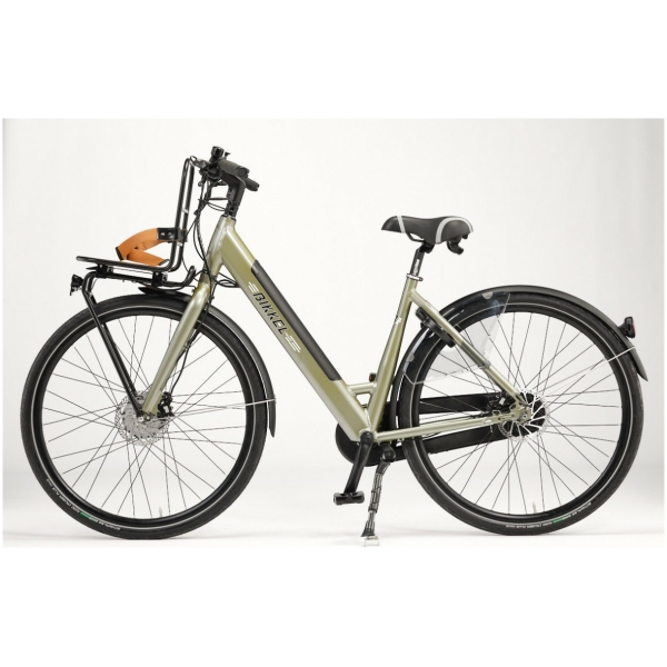 Bikkel iBee Cidade Disk intube Nexus7V D49 Silver green 500Wh - Afbeelding 3